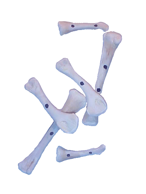 Vititi Kanguame. Los Huesos.